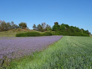 Apartamento Ballenstedt Entorno 22