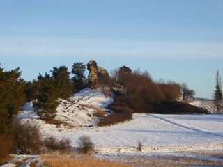 Apartment Ballenstedt Umgebung 23