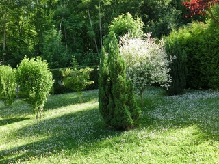 Villa Ballenstedt Buitenaudio-opname 21