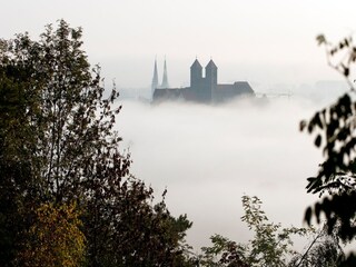 Appartamento Thale - Bodetal Ambiente 19