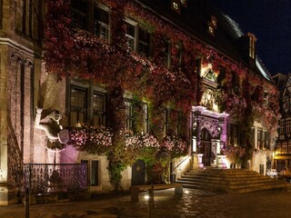 Apartment Thale - Bodetal Umgebung 36