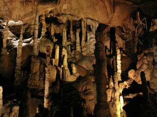 Apartment Thale - Bodetal Umgebung 36