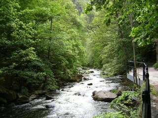 Ferienhaus Thale - Bodetal Umgebung 27