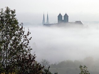 Maison de vacances Thale - Bodetal Environnement 31