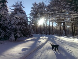 Appartamento Kottengruen Ambiente 25