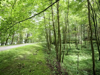 Appartamento Kottengruen Ambiente 24