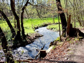 Vakantiehuis Treuen Omgeving 27