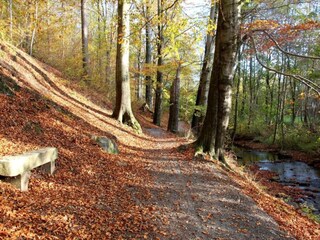 Vakantiehuis Treuen Omgeving 27