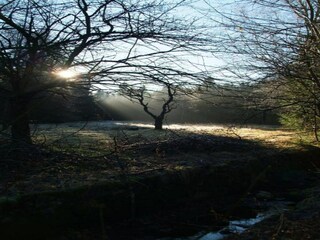 Casa per le vacanze Treuen Ambiente 31