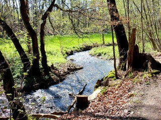 Casa de vacaciones Treuen Entorno 31