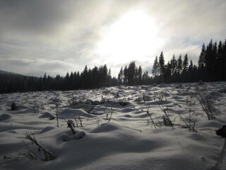 Chalet Breitenbrunn im Erzgebirge Omgeving 31