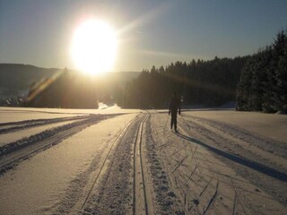 Chalet Breitenbrunn im Erzgebirge Omgeving 34