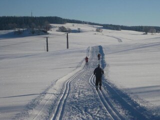 Chalet Breitenbrunn im Erzgebirge Omgeving 33