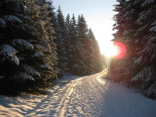 Chalet Breitenbrunn im Erzgebirge Ambiente 40