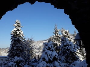 Lujoso apartamento en Rittersgrün, Sajonia - Montañas Minerales superiores - image1