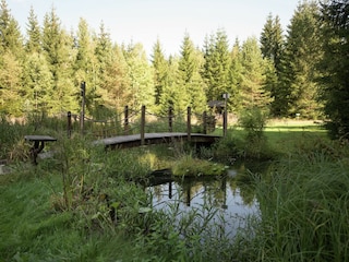 Ferienhaus Morgenröthe-Rautenkranz Umgebung 38