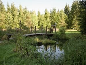 Ferienhaus mit Gemeinschaftspool in Jägersgrün - Morgenröthe-Rautenkranz - image1