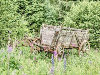 Maison de vacances Morgenröthe-Rautenkranz  35