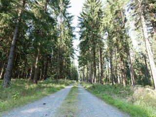 Vakantiehuis Morgenröthe-Rautenkranz Omgeving 32