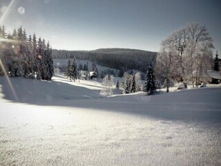 Vakantiehuis Morgenröthe-Rautenkranz Omgeving 29