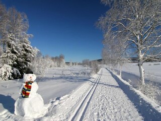 Vakantiehuis Morgenröthe-Rautenkranz Omgeving 30
