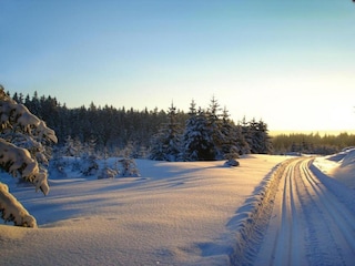 Vakantiehuis Morgenröthe-Rautenkranz Omgeving 26