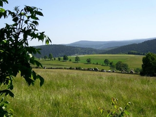 Ferienhaus Morgenröthe-Rautenkranz Umgebung 28