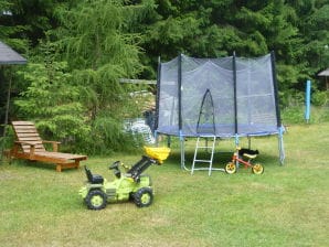 Ferienhaus mit Schwimmbad in Jägersgrün - Morgenröthe-Rautenkranz - image1