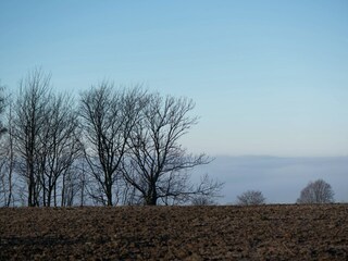 Apartment Pockau Environment 26