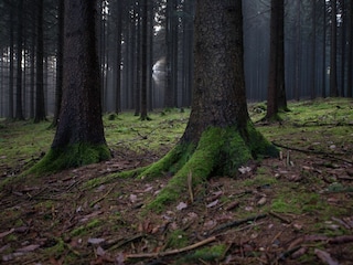 Apartment Pockau Umgebung 19