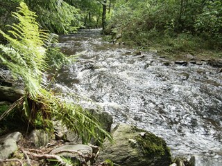 Vakantiehuis Deutschneudorf  40