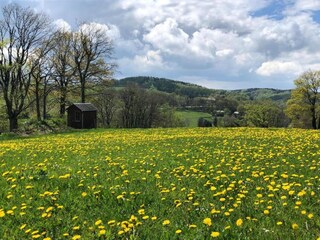 Ferienhaus Deutschneudorf Umgebung 33