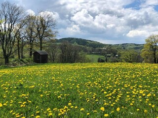 Holiday house Deutschneudorf Environment 32