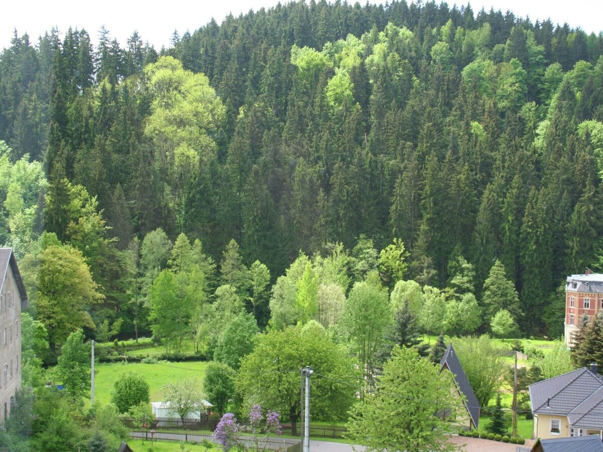 Villa Borstendorf Außenaufnahme 3