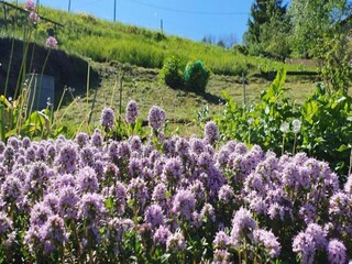 Villa Borstendorf Ambiente 36