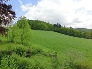 Magnifique villa à Borstendorf en Allemagne avec jardin - Bristendorf - image1