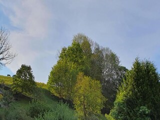 Villa Borstendorf Environnement 35