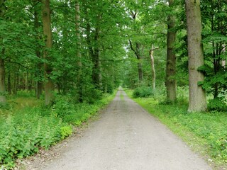 Appartamento Grünheide Ambiente 36