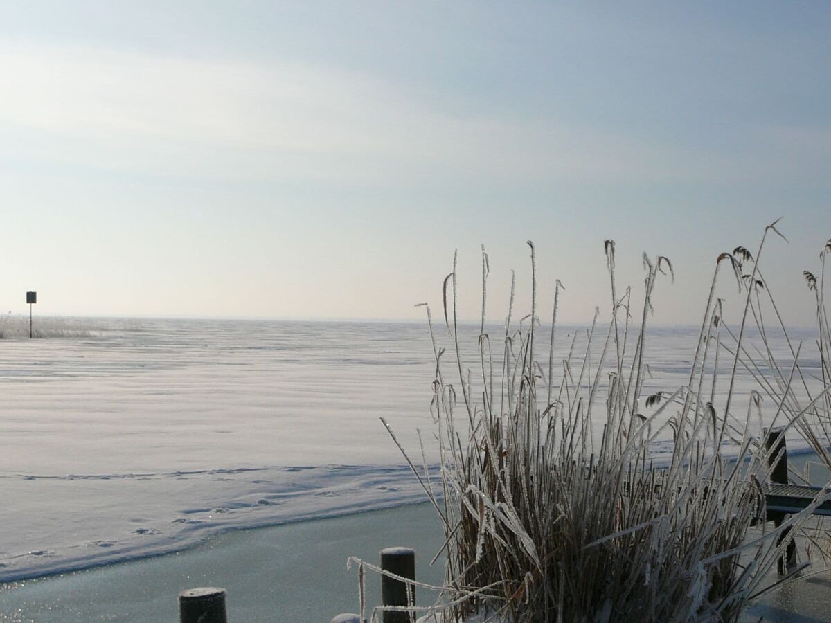 Appartement Stolpe auf Usedom Buitenaudio-opname 1