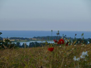 Casa de vacaciones Wangels & Weißenhäuser Strand Entorno 25