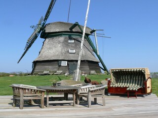 Ferienhaus Wangels & Weißenhäuser Strand Außenaufnahme 1