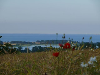 Casa per le vacanze Wangels & Weißenhäuser Strand Ambiente 34