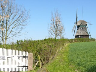 Casa per le vacanze Wangels & Weißenhäuser Strand Registrazione all'aperto 4