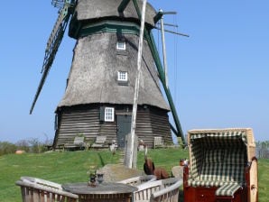 Holiday house Schöne authentische Mühle nahe am Meer - Wangels - image1