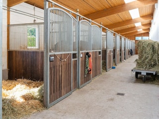 Ferienhaus Eschede Umgebung 33