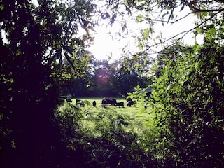 Casa de campo Langlingen Entorno 30