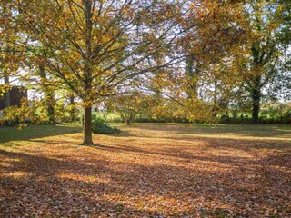 Boerderij Langlingen Omgeving 18