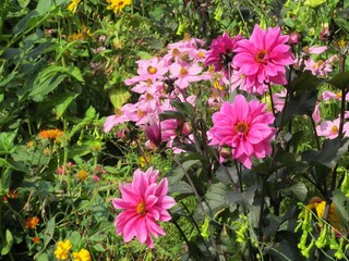 Fattoria Langlingen  37