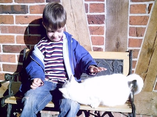 Boerderij Langlingen  38