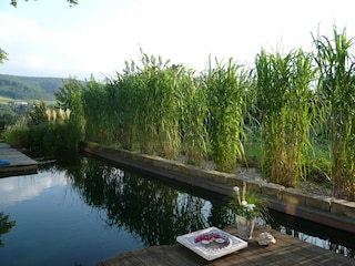 Apartment Bad Pyrmont Outdoor Recording 9